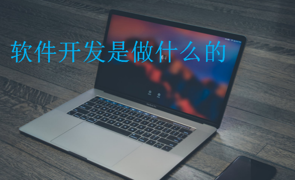 軟件開發(fā)是做什么的