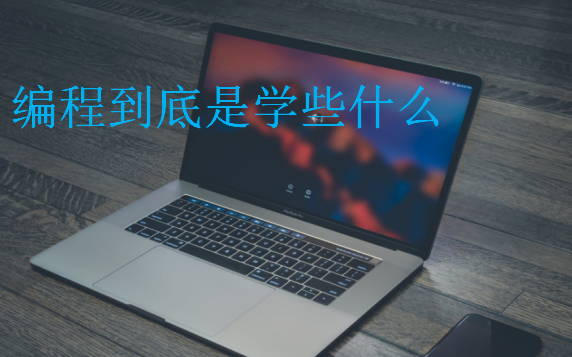 編程到底是學些什么