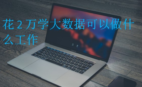 花2萬學大數(shù)據(jù)可以做什么工作