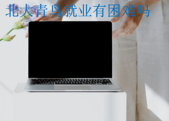 北大青鳥就業有困難嗎