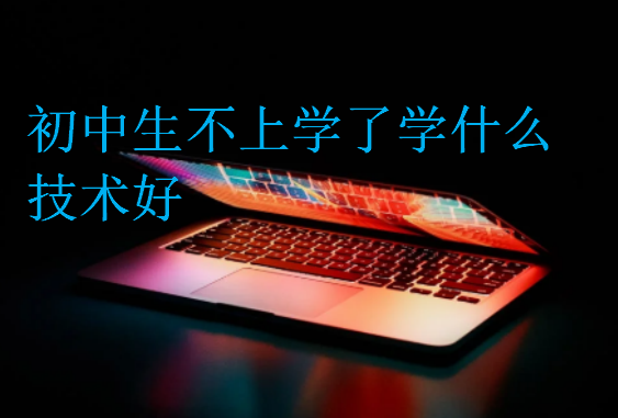初中生不上學了學什么技術好
