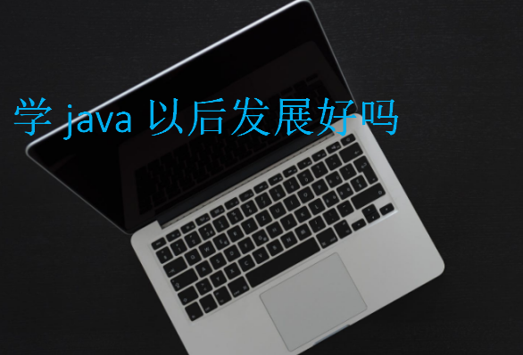 學java以后發展好嗎