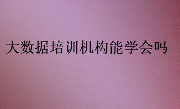 大數據培訓機構能學會嗎